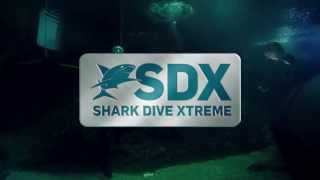 Shark Dive Xtreme at SEA LIFE Melbourne Aquarium [upl. by Aisenet124]