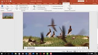 PowerPoint Sunusuna video Gömme Ekleme [upl. by Roede]