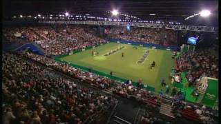 Flyball  Crufts 2007 Final [upl. by Ahseyd]