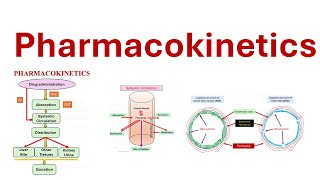 Pharmacokinetics ADME Absorption Distribution Metabolism Elimination [upl. by Anirtap]