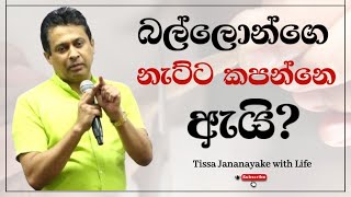 බල්ලොන්ගෙ නැට්ට කපන්නෙ ඇයි  Tissa Jananayake with Life EP 120 [upl. by Ecnarwal]