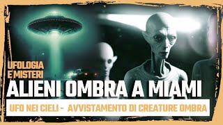 Alieni ombra a Miami  Ufologia e Misteri [upl. by Mathis537]