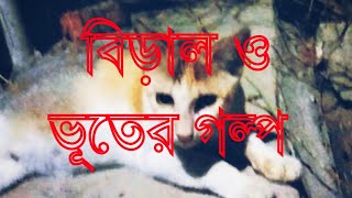 বিড়াল এবং ভূতের ভাইরাল ভিডিও । Biral amp Vuter Viral Video। [upl. by Perry]