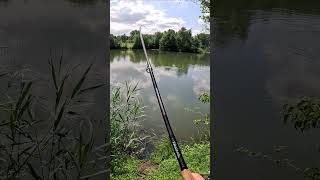 CARP with BREAD FISHING [upl. by Niwroc334]