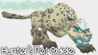 LoqueNahak  WoW Rare Hunters Pet Guide [upl. by Anaejer532]