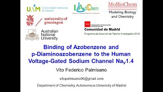 Binding of Azobenzene and pDiaminoazobenzene to the Human VoltageGated Sodium Channel Nav14 [upl. by Raamaj]