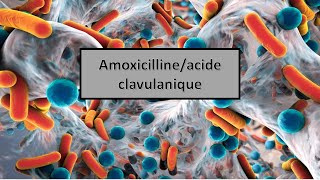 quotles médicaments génériques en Algérie quotAmoxicillineacide clavulanique [upl. by Hengel]