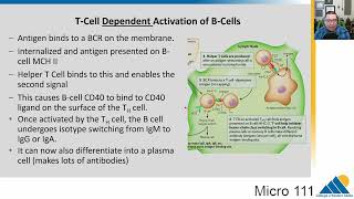 MICRO 111 Ch164 Completing the Immune Response [upl. by Gonagle]