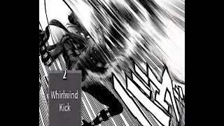 WHIRLWIND KICK [upl. by Quackenbush]