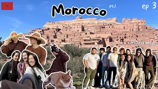 Morocco Vlog Pt1 Exploring Marrakech and Ouarzazate trying Moroccan food and seeing lots of cats [upl. by Abraham915]