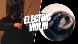 Pedro Pedro Pedro  Racoon Meme  Electric violin cover [upl. by Adriana383]