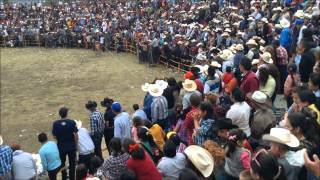 Galeana Michoacan Jaripeo 1 de Enero 2014 [upl. by Ellerred]