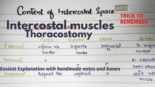 Intercostal Space  Contents  Muscles  Clinicals  Thoracostomy  Part 1 Easiest Explanation [upl. by Murdocca484]