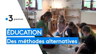 Education  des méthodes alternatives [upl. by Etnoel225]