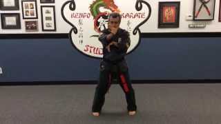 Jesus Flores American Kenpo Karate Long Form 6 [upl. by Jollenta270]