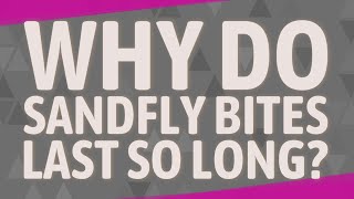 Why do sandfly bites last so long [upl. by Ahsart]