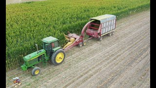 Chopping Corn Silage near Greenville Ohio [upl. by Mitinger]