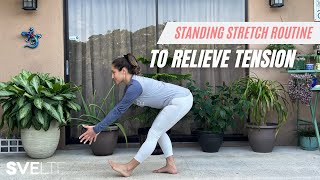 Standing Stretch Routine to Relieve Tension [upl. by Dalli]