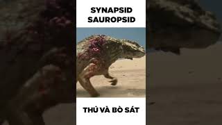 Tổ tiến của Thú và Bò sát Synapsid và Sauropsid dinosaur synapsid sauropsid tiếnhóa dongvat [upl. by Paget]