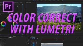 How to Use Lumetri Color Effect in Adobe Premiere CC 2017 to Color Correct  Color Grade [upl. by Novyart]