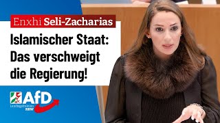 Islamischer Staat Das verschweigt die Regierung – Enxhi SeliZacharias AfD [upl. by Patman]