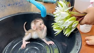 Mom Pick This Flower To Prepare For Morning Routine To Tny Bubu [upl. by Somerset218]