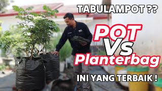 PLANTER VS POT PLASTIK INI YANG TERBAIK UNTUK TABULAMPOT [upl. by Kall]