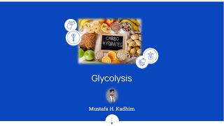 Glycolysis  Carbohydrate Metabolism  Part 2 Biochemistry [upl. by Paquito492]