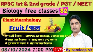 Fruit फल  Types of fruit फलो के प्रकार  RPSC 1st grade  RPSC 2nd grade  PGT [upl. by Candyce278]