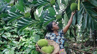 village food 😍 A delicious recipe for a village meal made by my daughter village kitchen recipe [upl. by Crofoot]