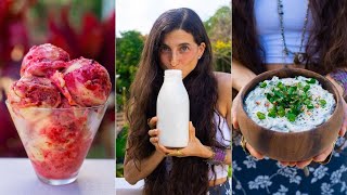 Simple DairyFree Recipes Youll LOVE 🥛 Make Your Own PlantBased Milk Ice Cream Cheese amp Sauces [upl. by Metts]