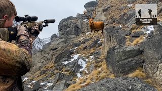 THE BIGGEST STAG WE’VE EVER SEEN We got him New Zealand mountain red stag hunting [upl. by Niki904]