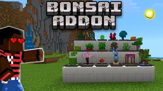 ADDON DE BONSAIS INCRÍVEL NO MINECRAFT BEDROCK 121  Easy Bonsai [upl. by Warga178]