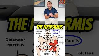 Try this Modified Piriformis Stretch If You Cant Cross Your Legs [upl. by Pfeifer]