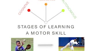 Stages of Learning Skill Acquisition  PE amp Sport Motor Skills [upl. by Aramat]