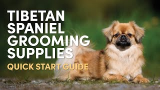 Tibetan Spaniel Grooming Supplies Quick Start Guide [upl. by Upshaw]