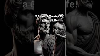 Top 3 Seneca Quotes For a Good Life shorts ancientwisdom quotes [upl. by Lynde]