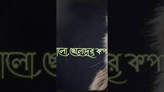 আমার মা বলেছিল খোকা তুই প্রেম করিস না 😎🤙 Khoka  WhatsApp status  Sheikh sadi song  Attitude 😎💸 [upl. by Ahsinor272]