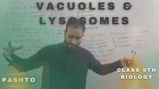 Vacuoles and Lysosomes In pashto  Very Easy  Bya ba darna Ne herege  Class 9th biology [upl. by Ahsenra]