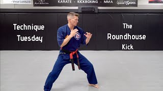 Technique Tuesday  How To The Roundhouse Kick [upl. by Delly]