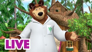 🔴 ПРЯМОЙ ЭФИР LIVE Маша и Медведь 👱‍♀️🐻 Однажды в лесу 🤪🌳👀 [upl. by Bunting]