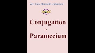 Conjugation in paramecium [upl. by Anitsuj]