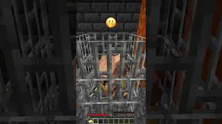 Nether Grove vs Emoji Secret Room shorts minecraft memes [upl. by Prichard639]