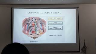 CLASE DIAFRAGMA PELVIANO Y UROGENITAL ESPACIO PERINEAL SUPERFICIAL FOSA ISQUIORECTAL [upl. by Nwahsar]