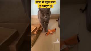 oo antava mama song video comedy video viral trending video viral video ho gaya hai [upl. by Bunny344]