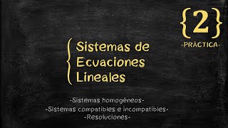 SISTEMAS DE ECUACIONES LINEALES  Sistemas homogéneos  Tipos de soluciones Parte 2 [upl. by Yecad530]