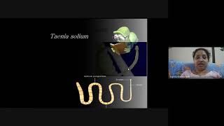 quotLife cycle of Taenia soliumquot [upl. by Sessilu]