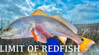 LIMIT of REDFISH Kayak Fishing Matagorda [upl. by Nahtaj203]