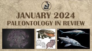 January 2024 Paleontology in Review [upl. by Ellehctim]