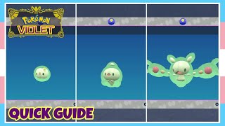 How To Evolve Solosis Into Duosion Into Reuniclus In Pokemon Scarlet amp Violet  Quick Guide [upl. by Villiers917]